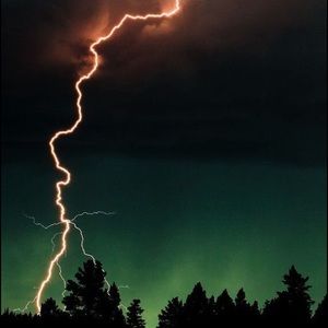 Meet your Posher, Mia